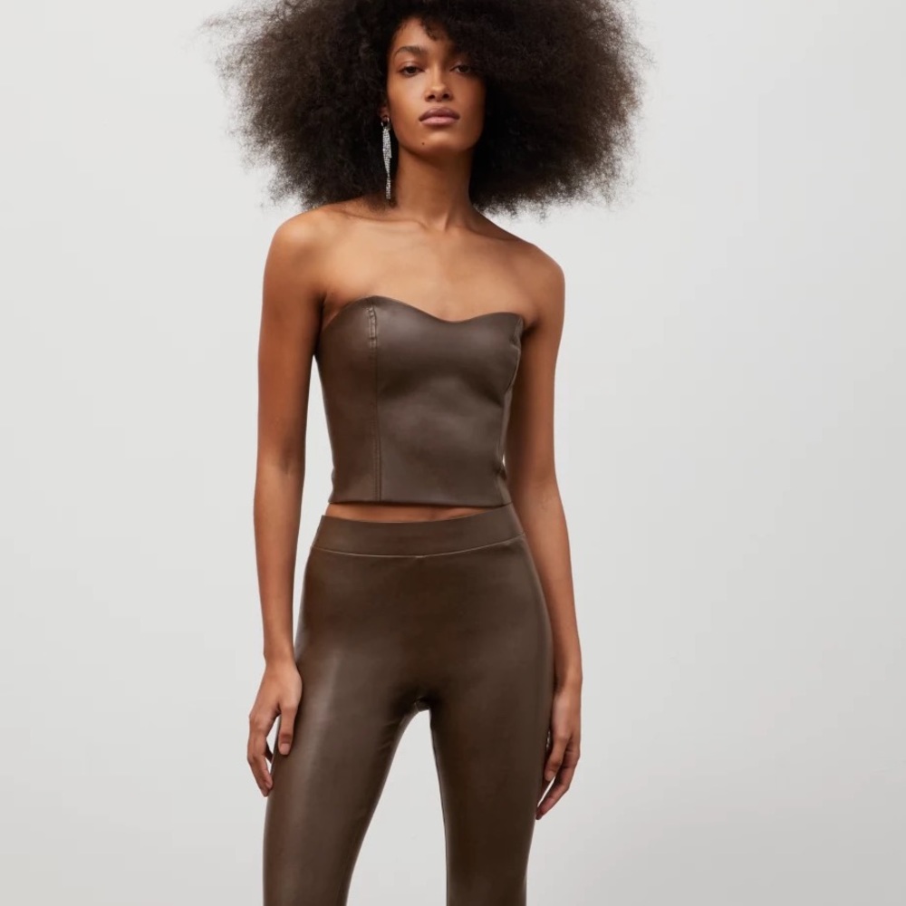 Aritzia Ten by Babaton Cindy Bustier